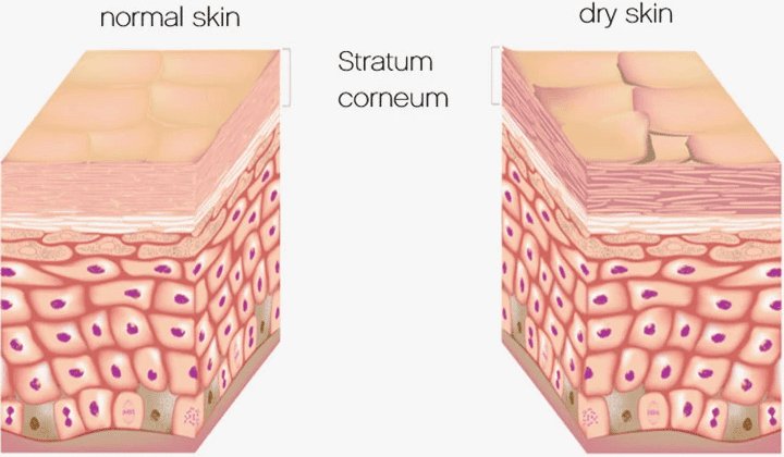 Targeted Solutions - Derma Defense A+D Boost 2 image 2020 10 14T10 46 51 955Z HSA Dermal Clinic