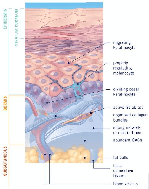 Obagi Website Healthyskin