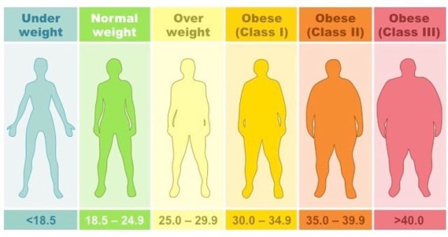 BMI Diagram for weight loss programme